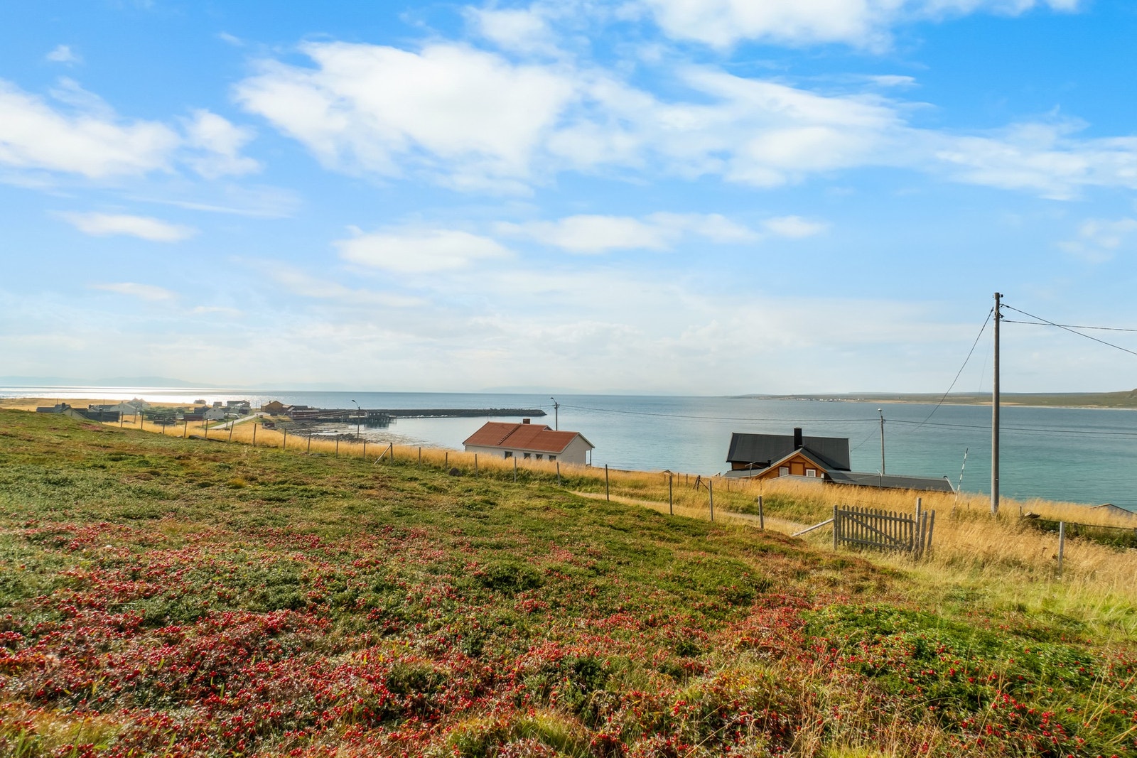 Utsikt mot sørvest. Galleribilde