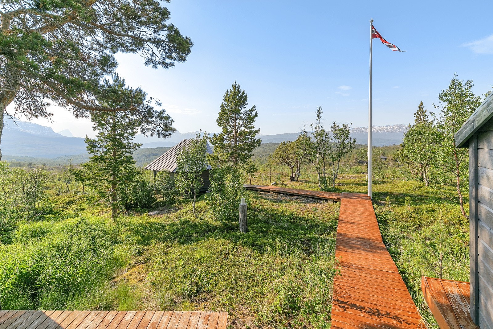 Det er også rikt terreng på bær og sopp. Galleribilde