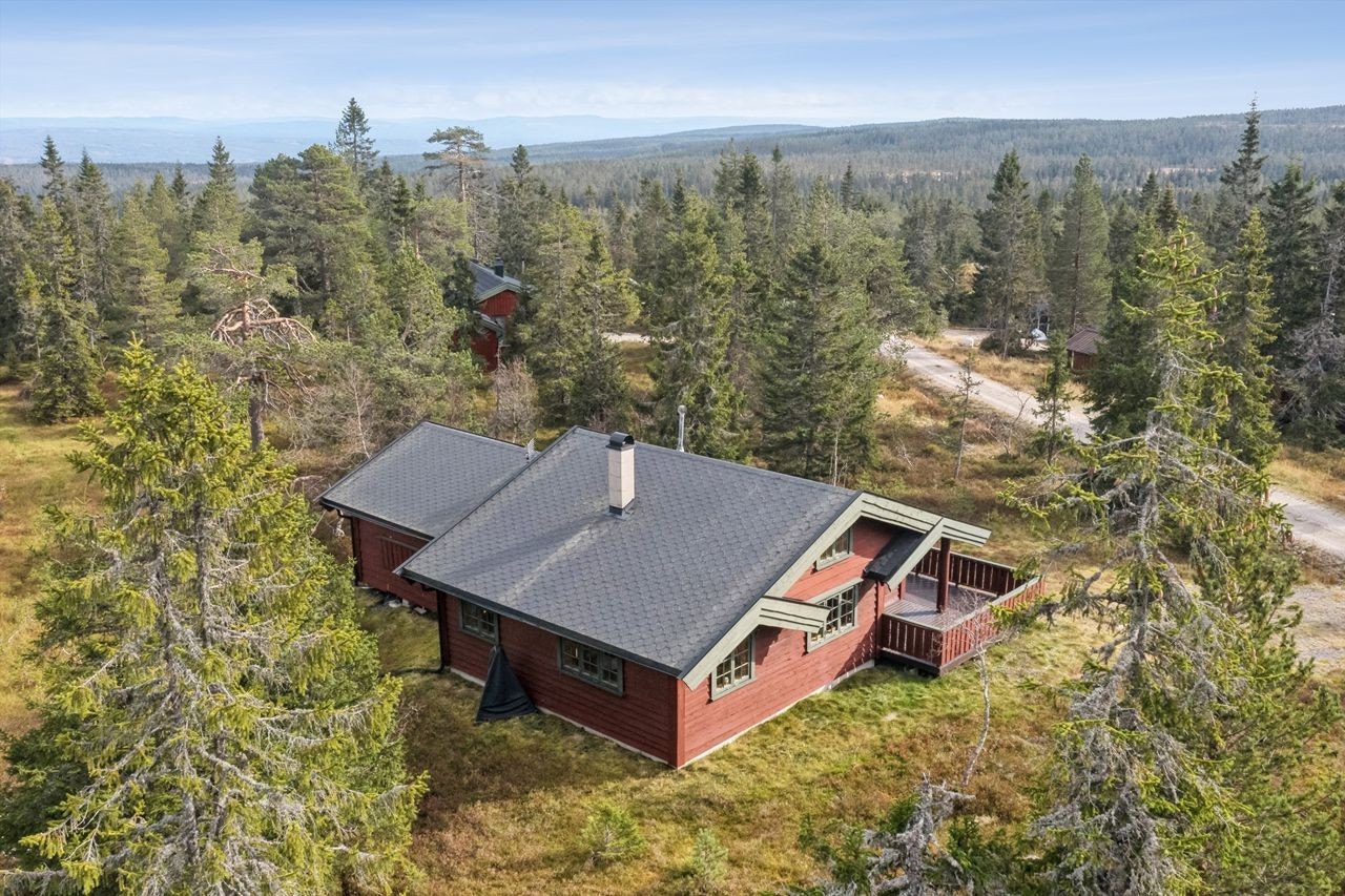 Et attraktivt hytteområde kun 1,5 km fra Budor Gjestegård - Meget gode turmuligheter på Hedmarksvidda gjennom hele året Galleribilde