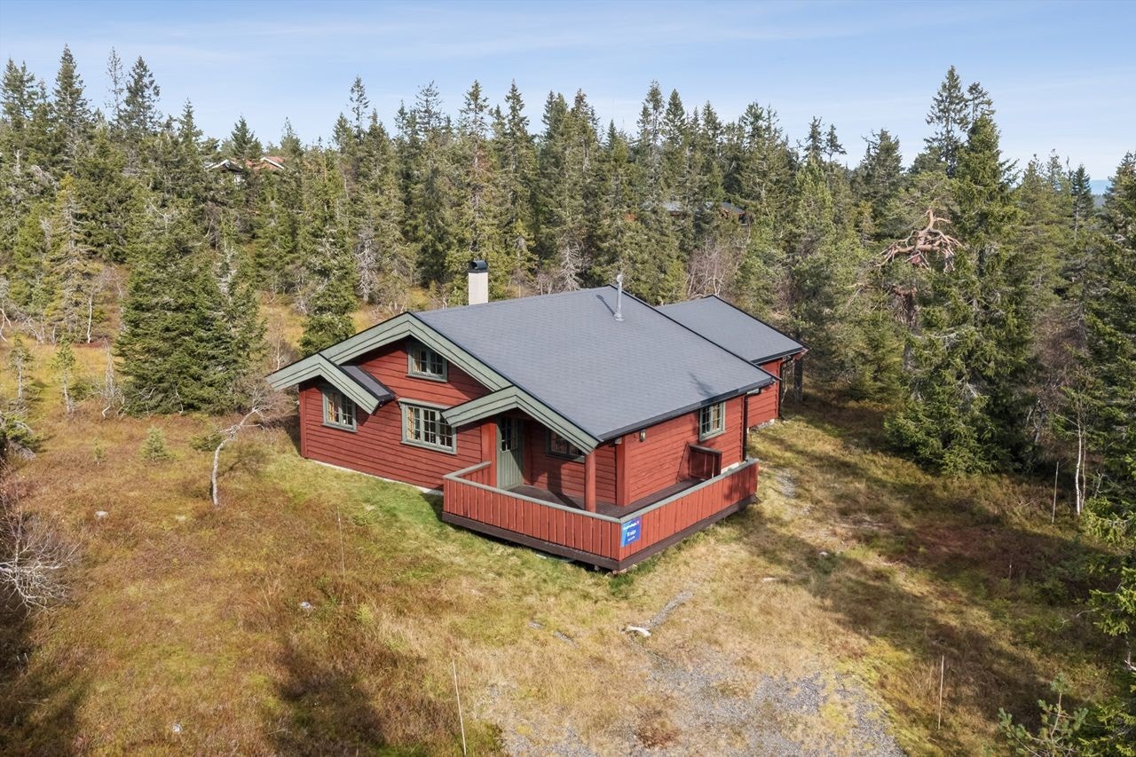 Velkommen til Haren 11 ved Budor, Løten kommune Galleribilde