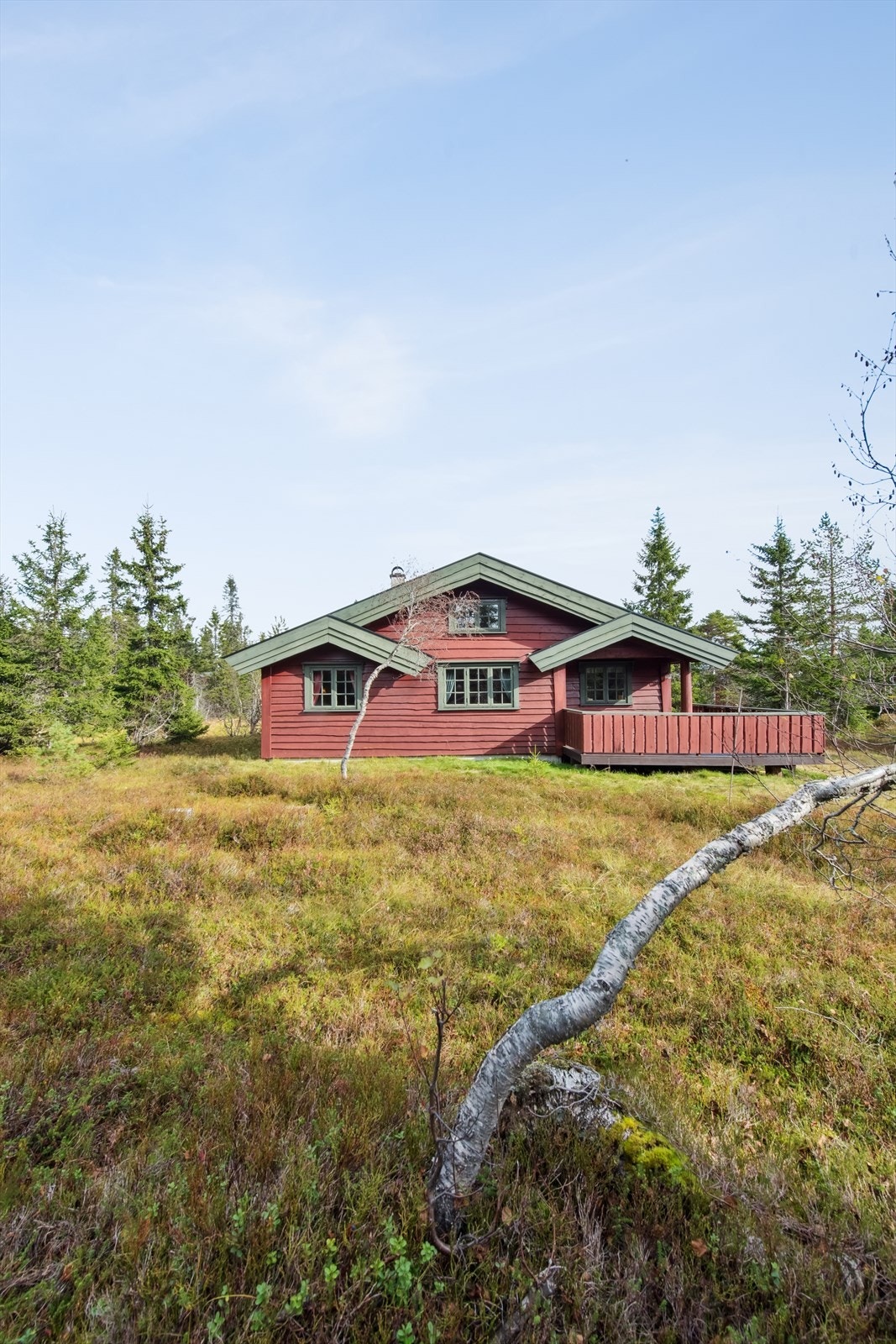 Velkommen til en hyggelig visning! Galleribilde