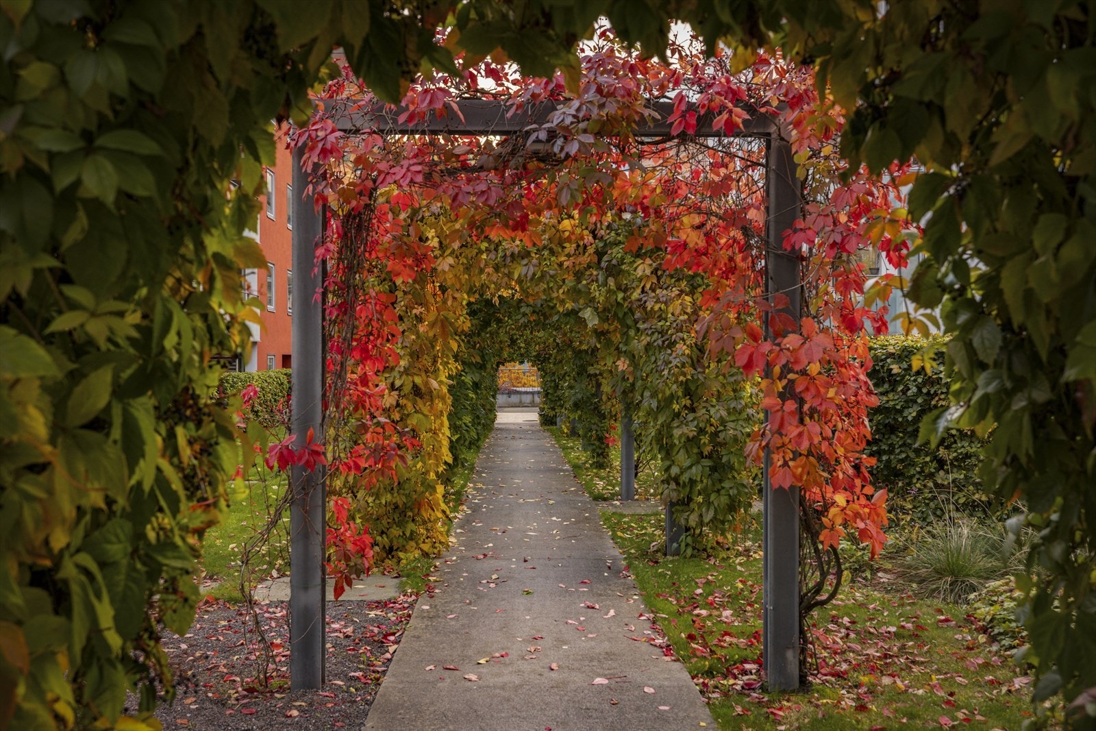 Leiligheten har en attraktiv beliggenhet i populære Kværnerbyen med gangavstand til sentrum Galleribilde