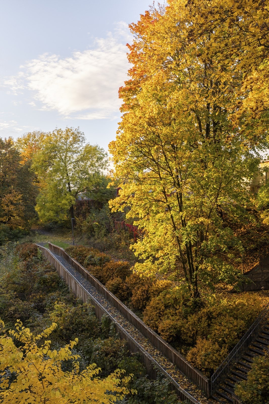 Utsikt fra soverommet Galleribilde