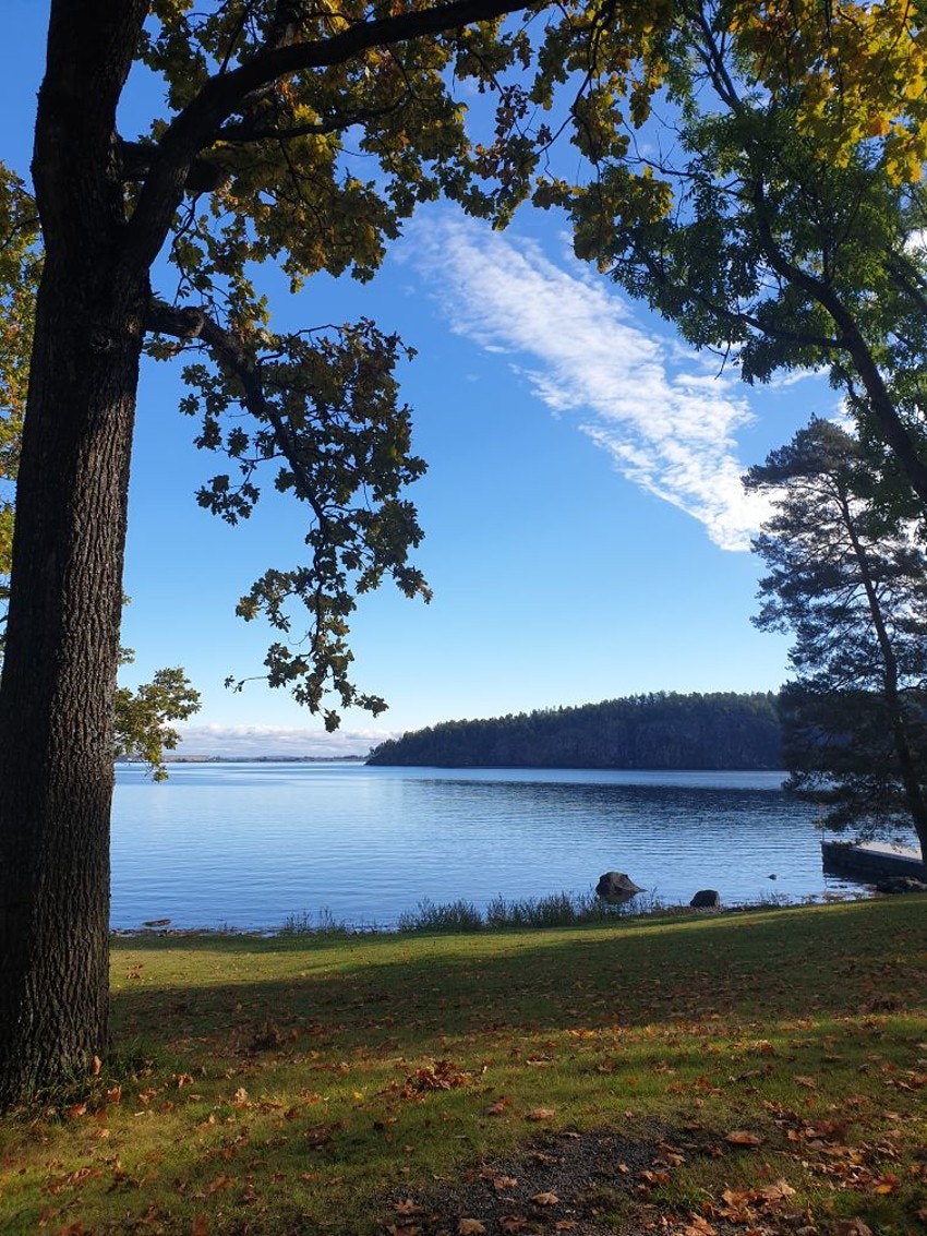 Fra leiligheten er det kort gange til Hagemannsparken i den sydøstlige delen av Holmestrand sentrum Galleribilde