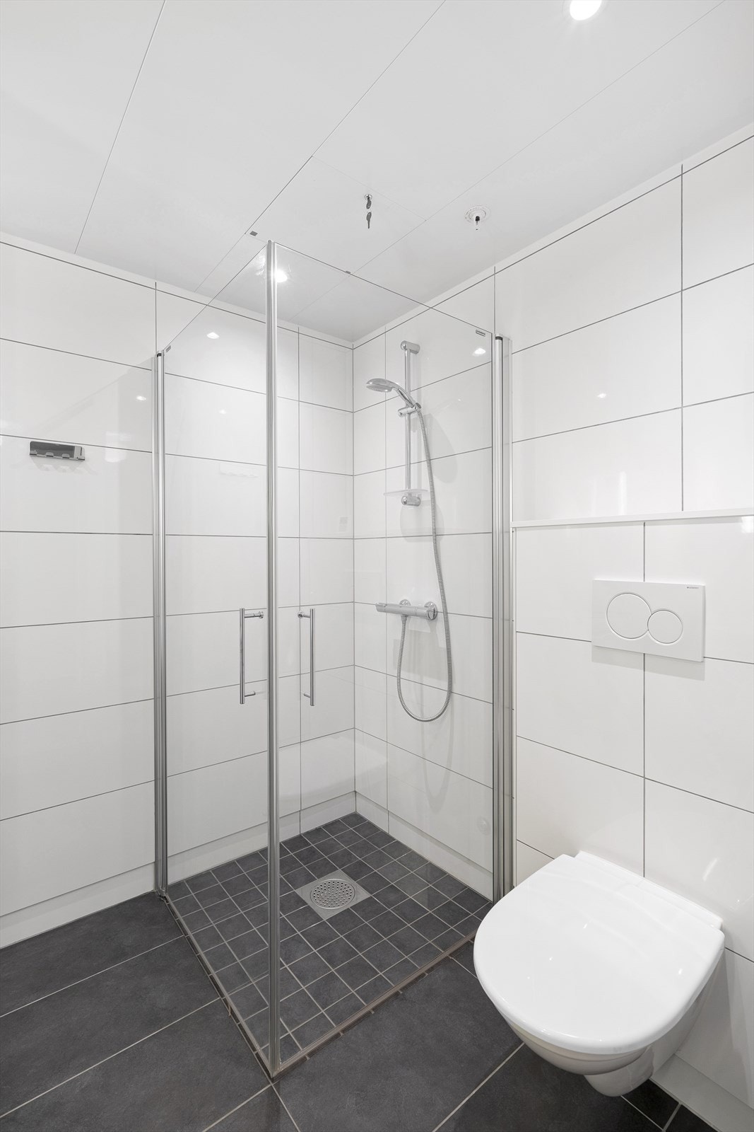 Badet er innredet med vask i seksjon med skapplass, stort dusjhjørne, vegghengt toalett og opplegg for vaskemaskin og tørketrommel bak en frostet glassvegg. Galleribilde