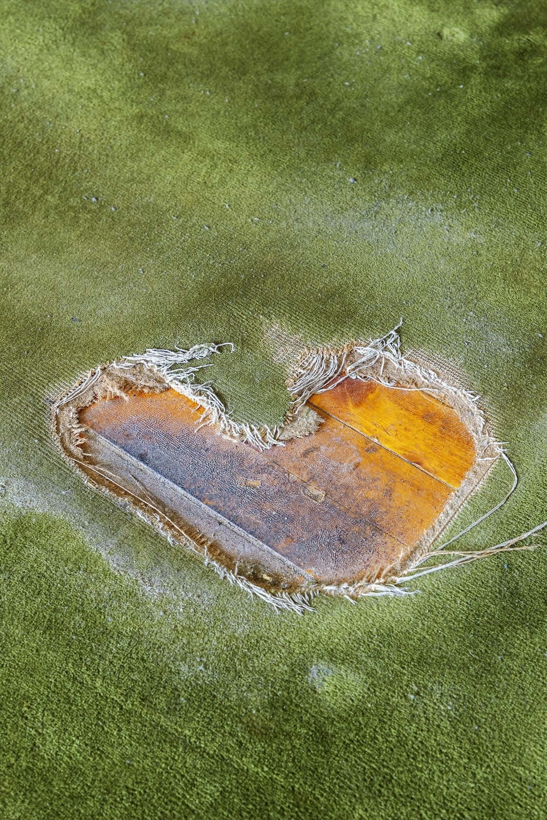 Under vegg til vegg teppe stue, befinner det seg det originale tregulvet som eventeuelt kan slipes Galleribilde