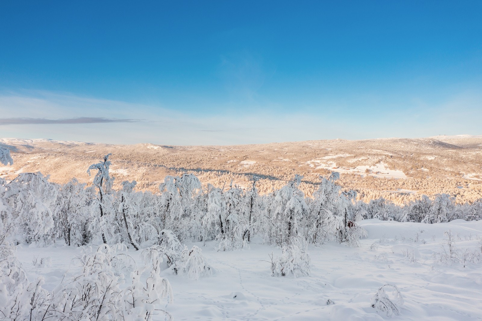 Vinterparadis! Galleribilde