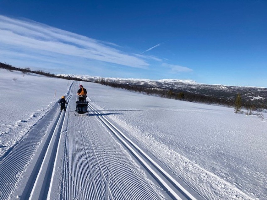 Milevis med langrennsløyper rett i nærområdet. Galleribilde
