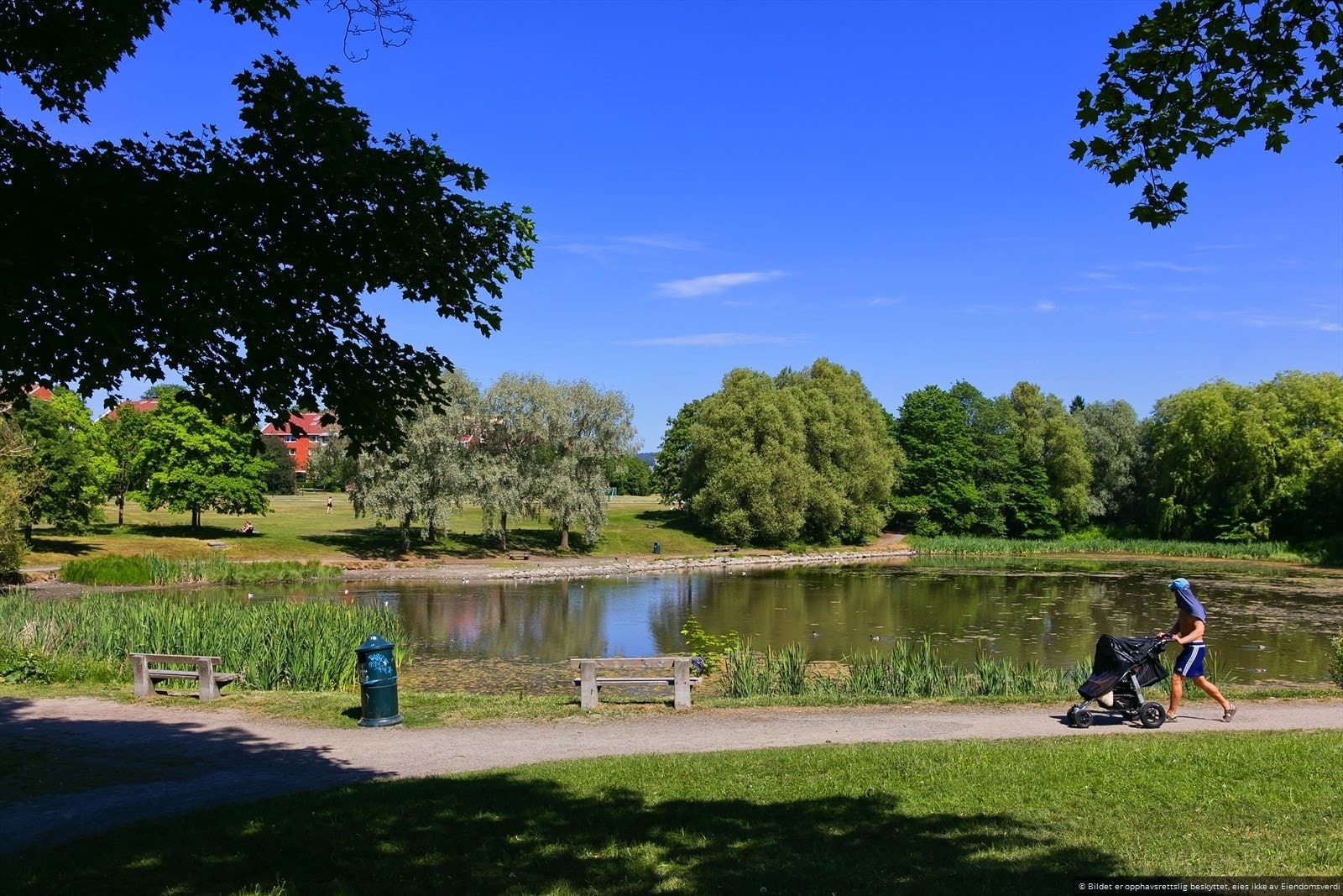 Det er flere hyggelige turområder i kort avstand Galleribilde