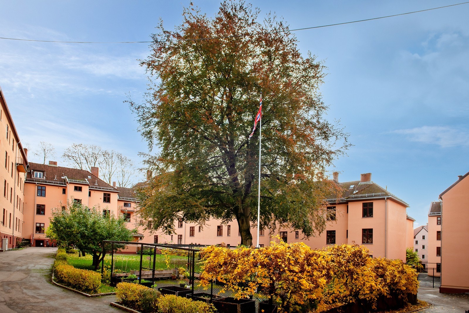 Bakhage Galleribilde