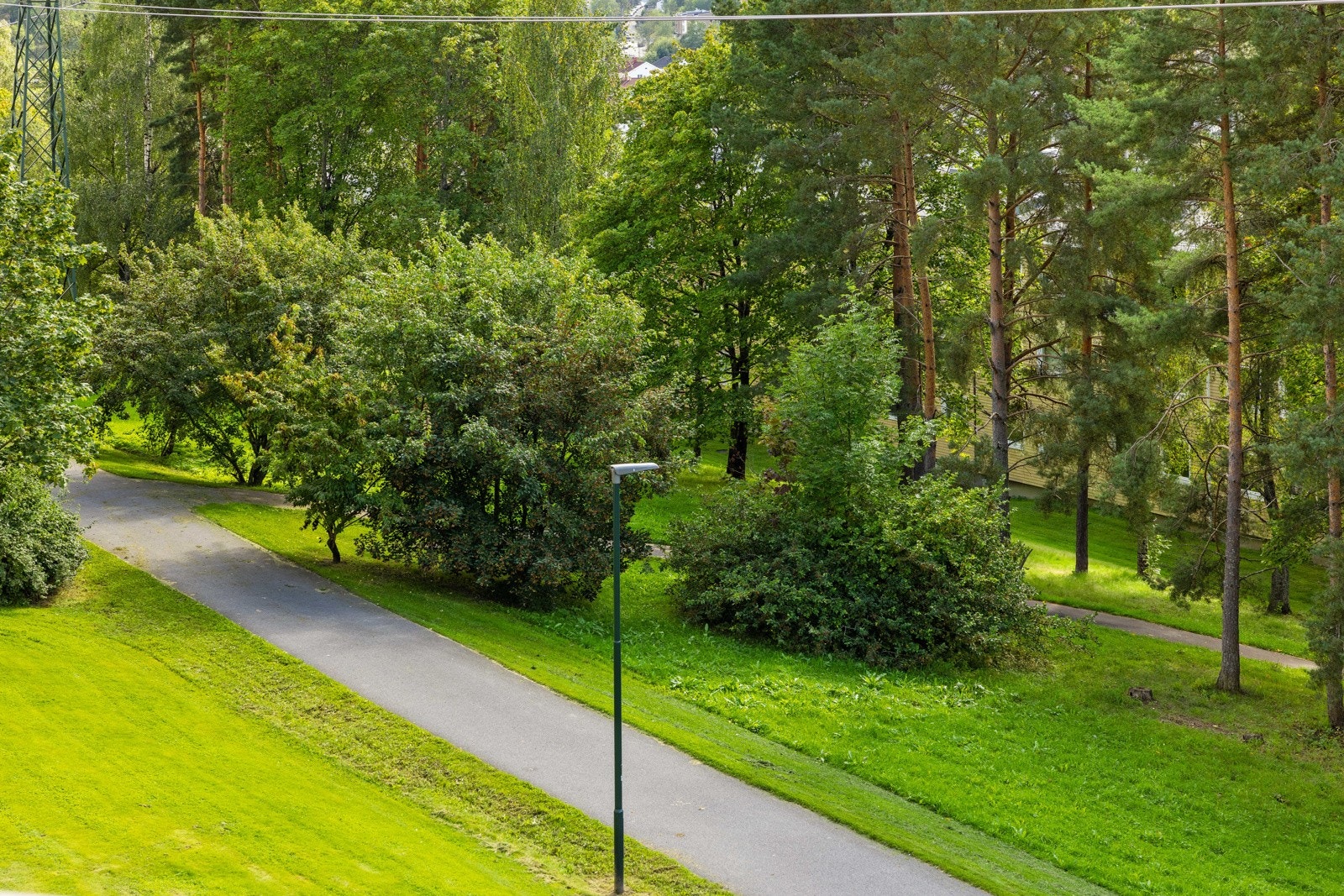 Tursti rett utenfor blokken som fører til Østensjøvannet og videre til Østmarka Galleribilde