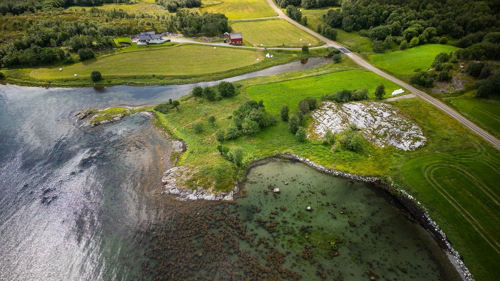 Dronefoto av nærområdet. Galleribilde