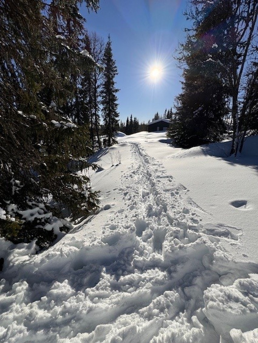 Vinteferie3 Galleribilde