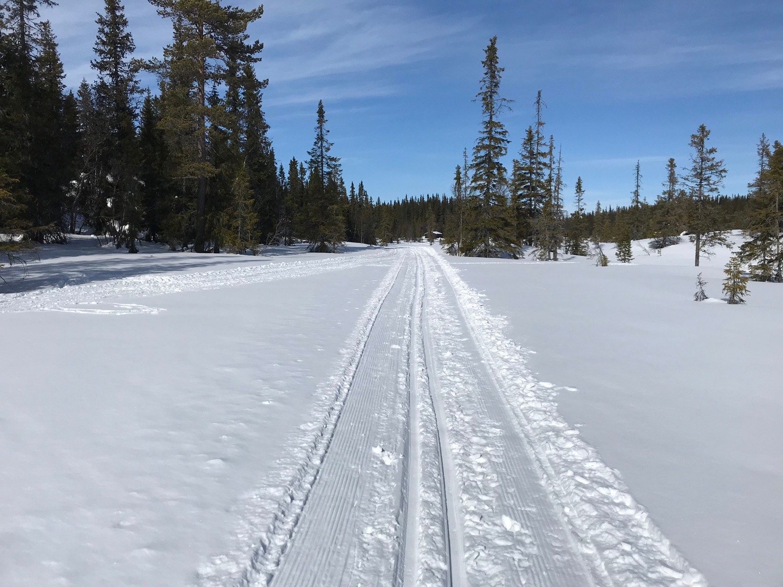 Oppkjørte langrennsløyper i vinter- og påskeferien. Galleribilde
