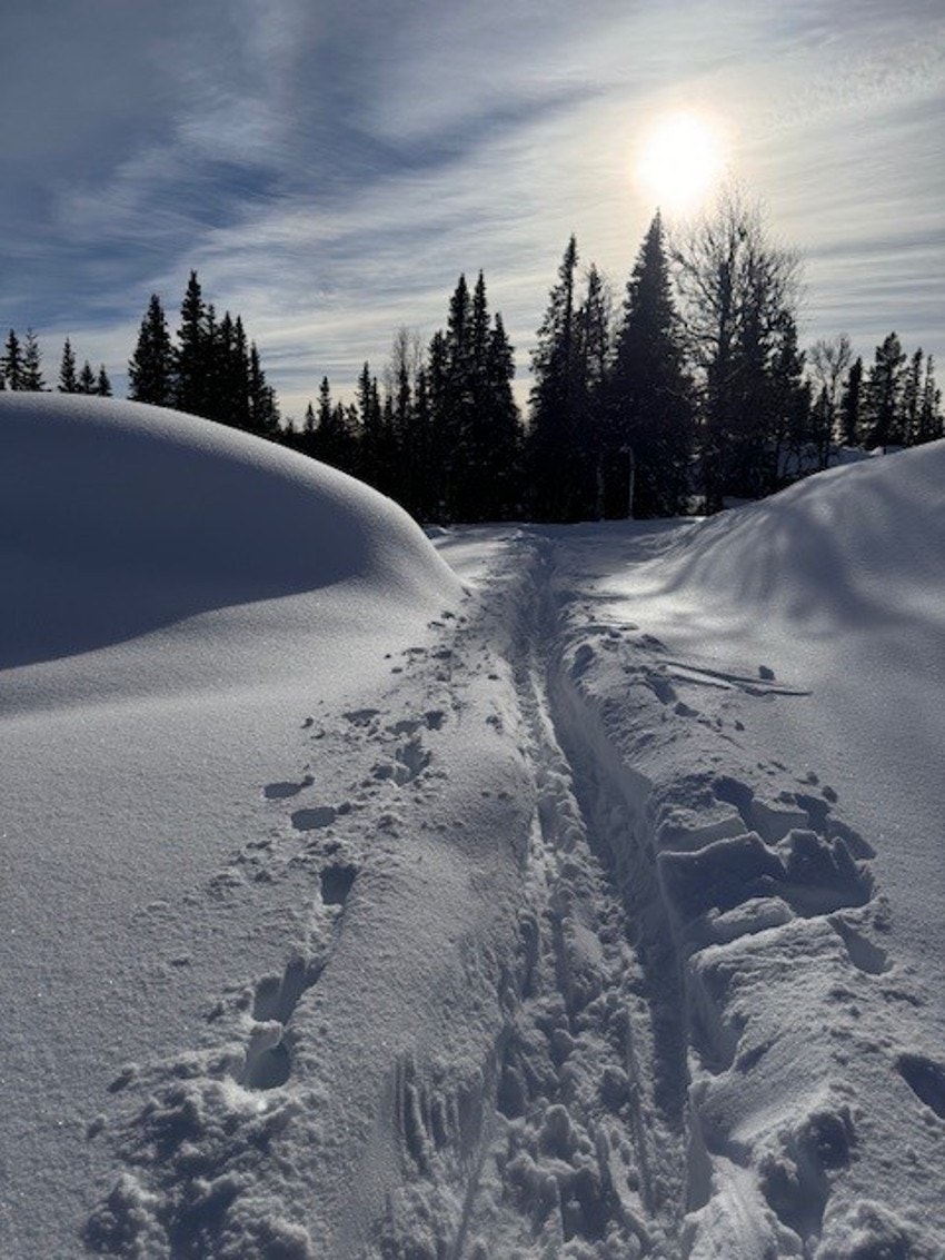 Vinteferie1 Galleribilde