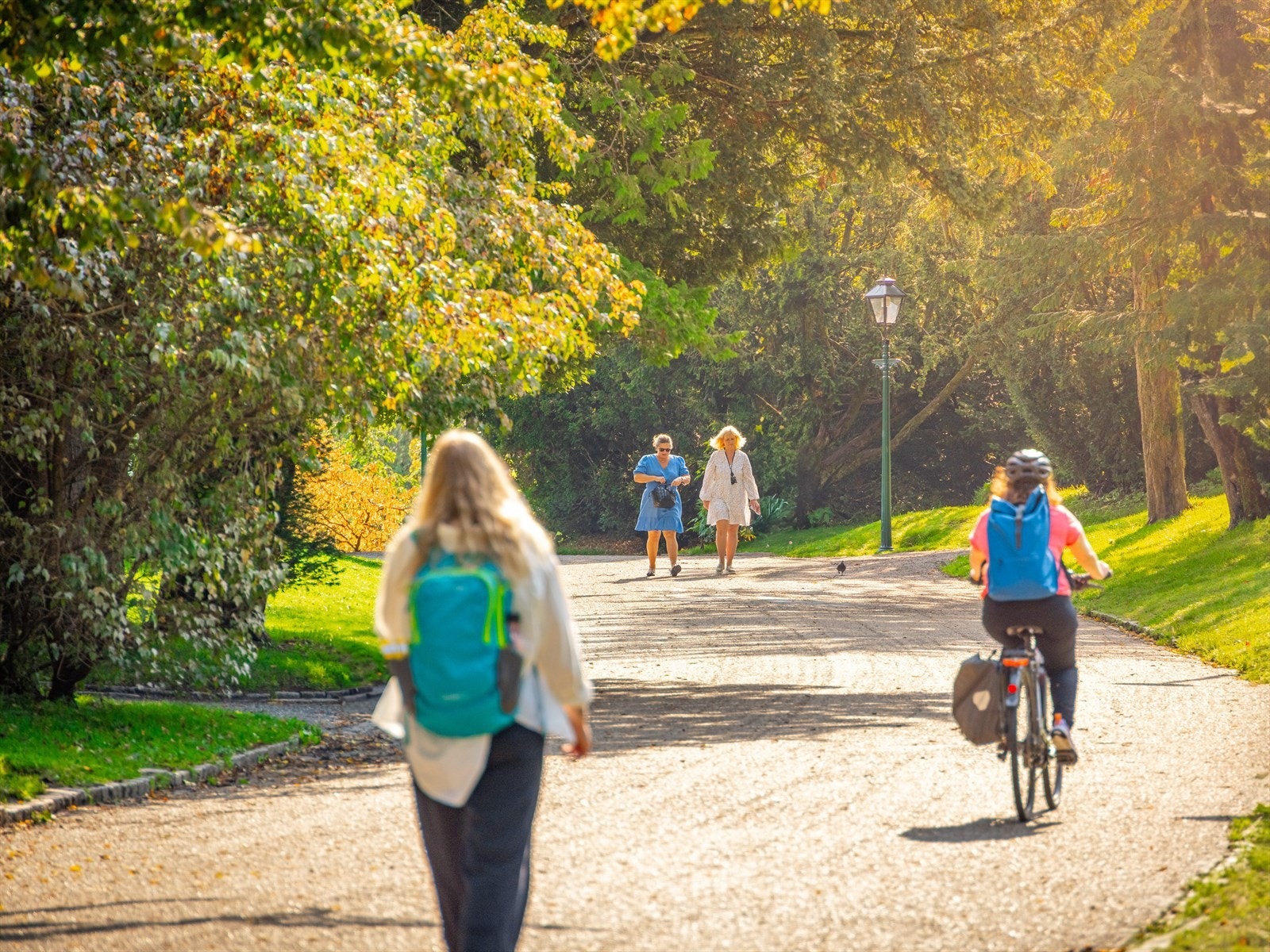Kort vei til flotte parkområder, blant annet Muséhagen (Botanisk hage), Nygårdsparken, Akvariet og Nordnes Sjøbad mm. Galleribilde