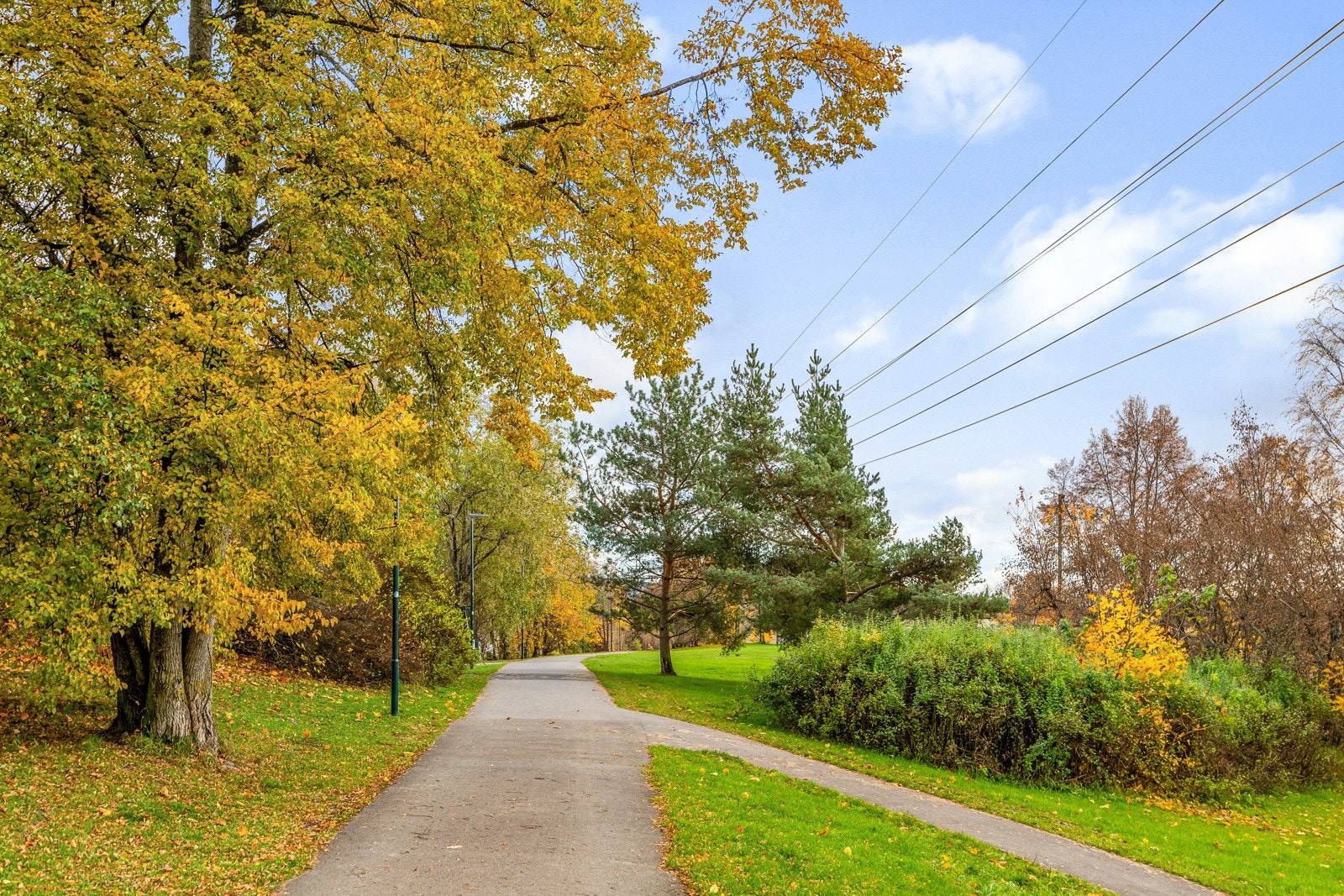 For søndagsturer er Østensjøvannet et svært populært sted, med sitt naturskjønne landskap. Galleribilde