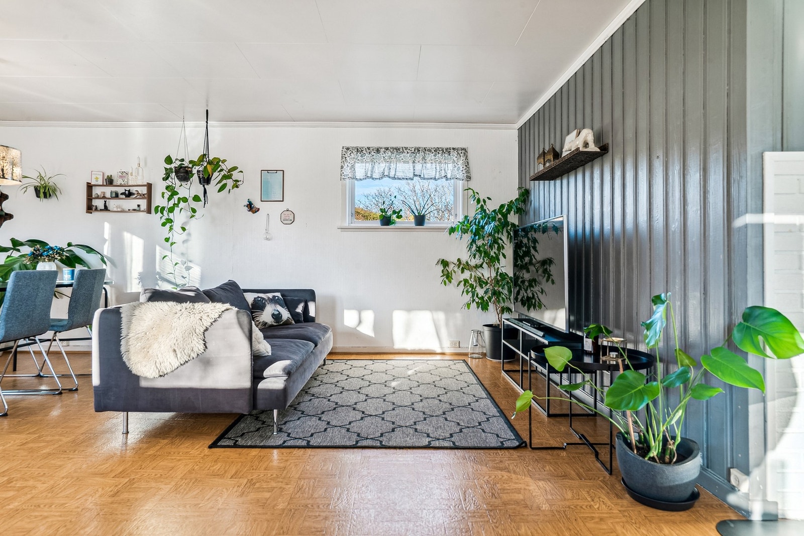 Stor og luftig stue med behagelig fargetone Galleribilde