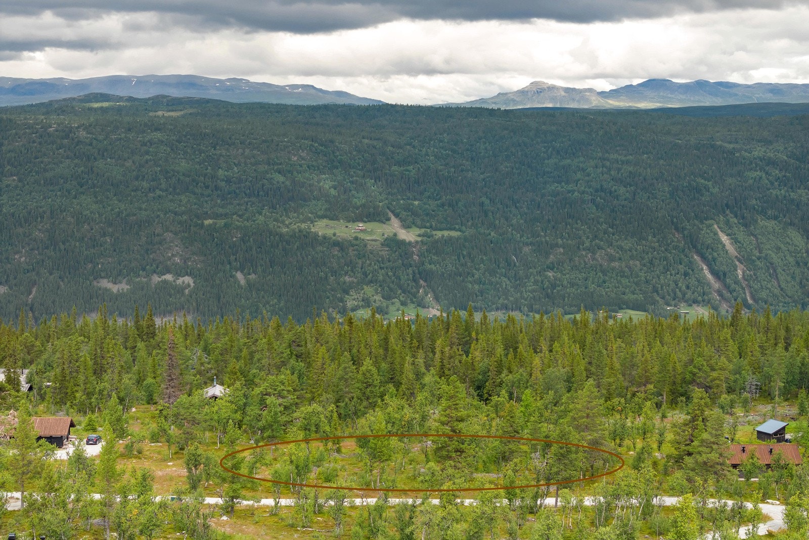Rett utenfor hyttedøren har man tilgang til et fantastisk naturområde med mange flotte turmuligheter både sommer og vinter. Galleribilde