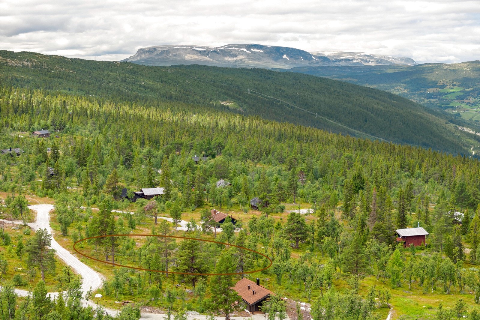 Oppfyll hyttedrømmen hele 980 moh. på attraktive Sangefjell! Galleribilde