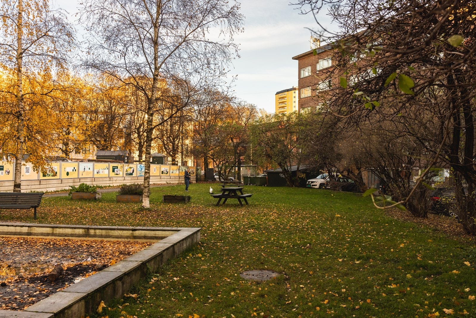 - Fellesområde - Galleribilde