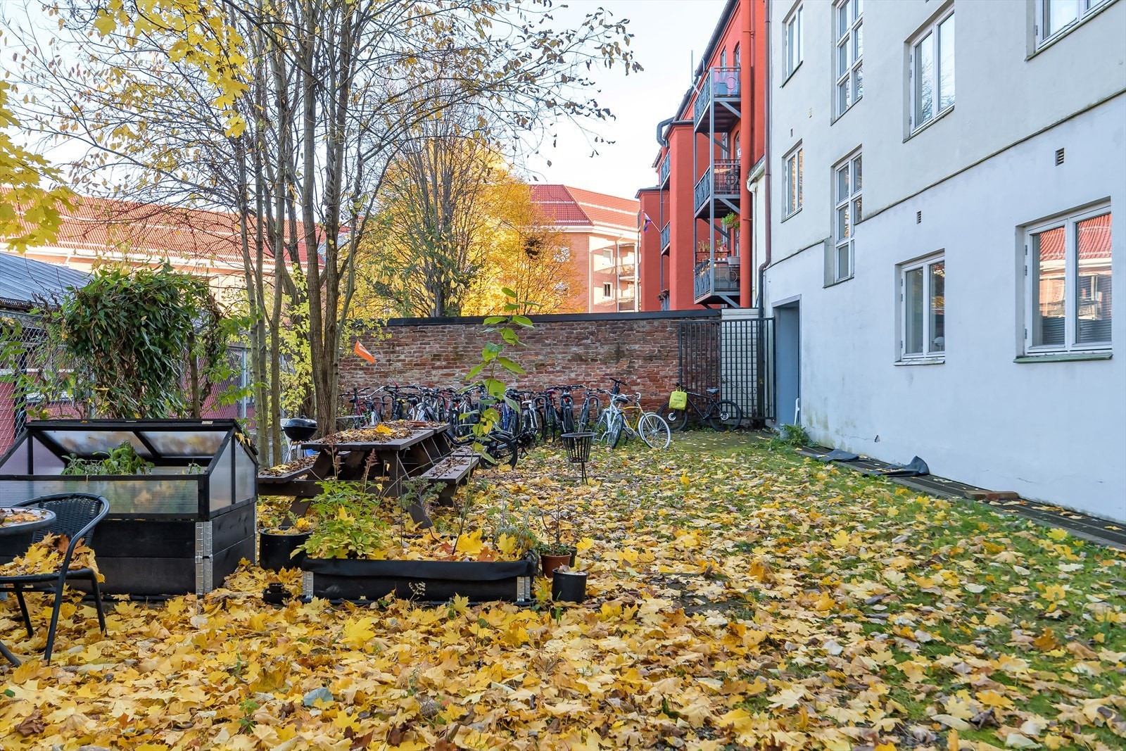 Dyrehold tillates dersom det ikke er til sjenanse for naboer Galleribilde