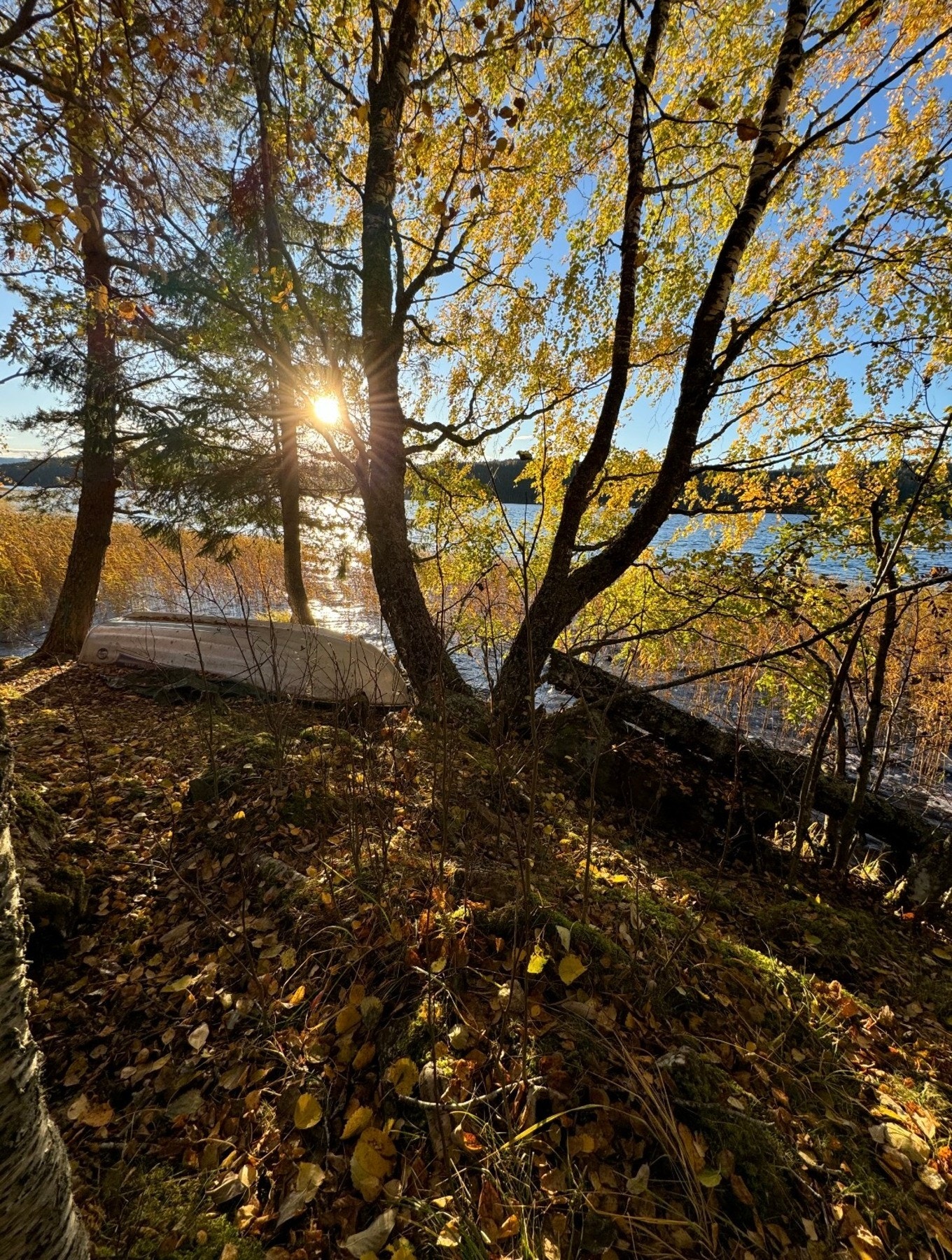 Her har man rike fiskemuligheter, med fiskekort kan man fiske med stang, oterfjøl eller garn. Isfiske er populært på vannet på vinters tid. Galleribilde