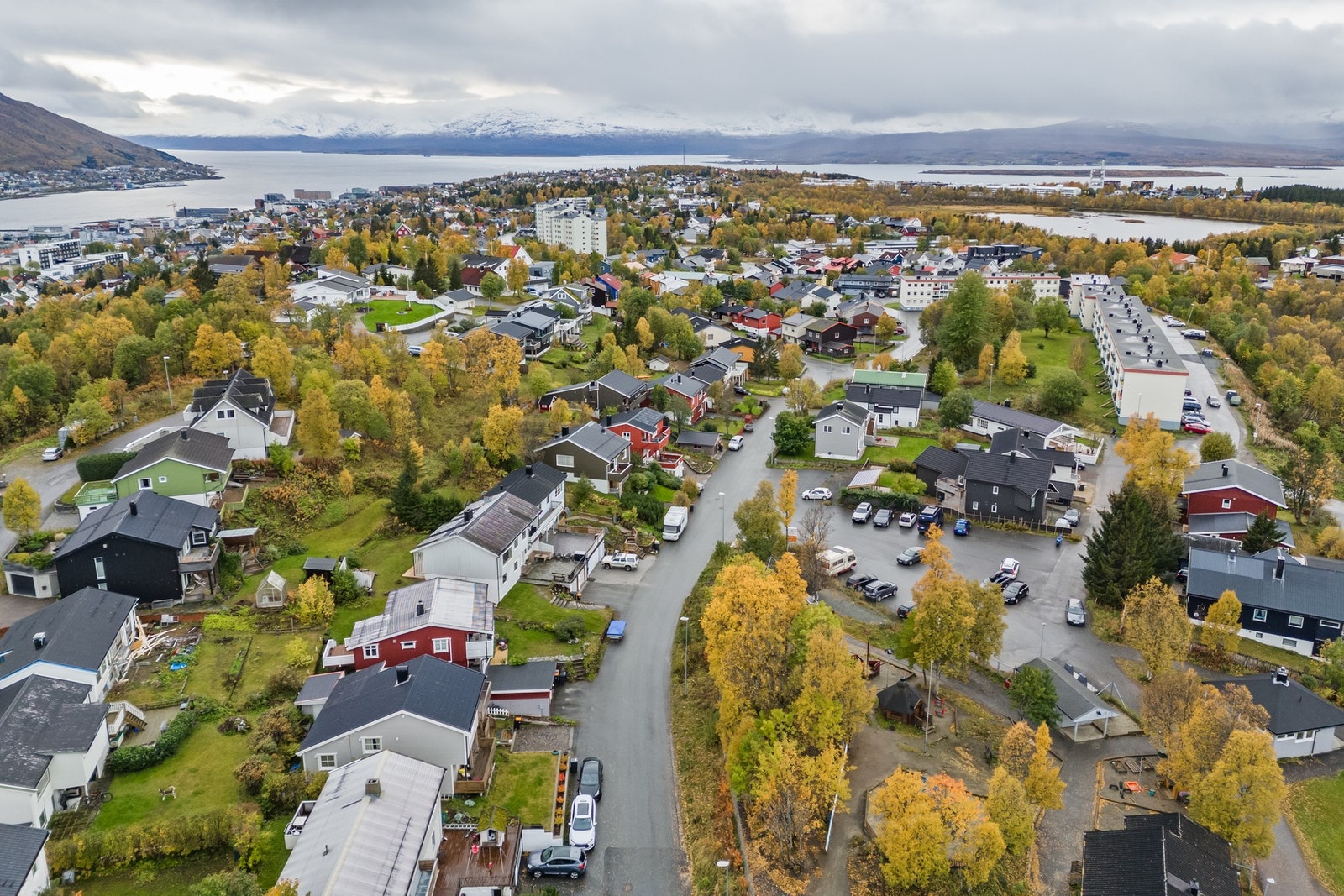 Nærområdet. Galleribilde