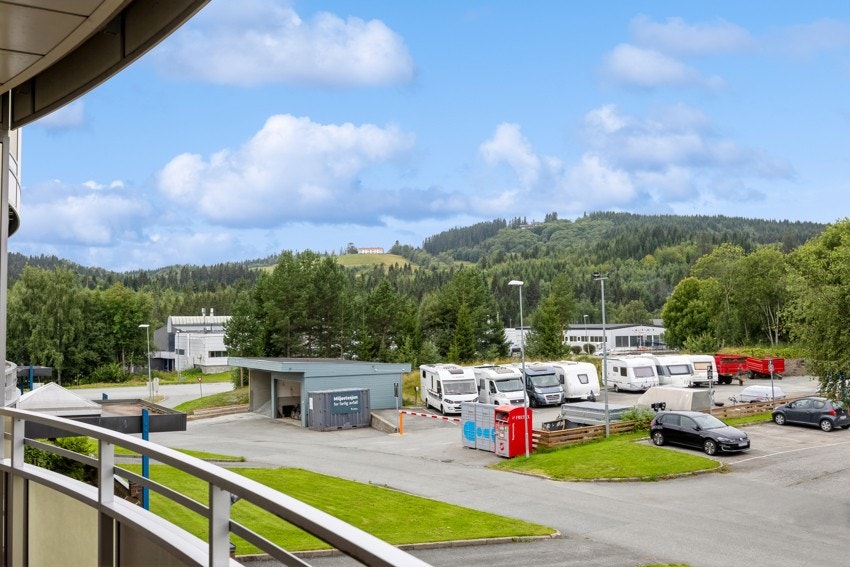 Utsikt mot frodige omgivelser. Galleribilde