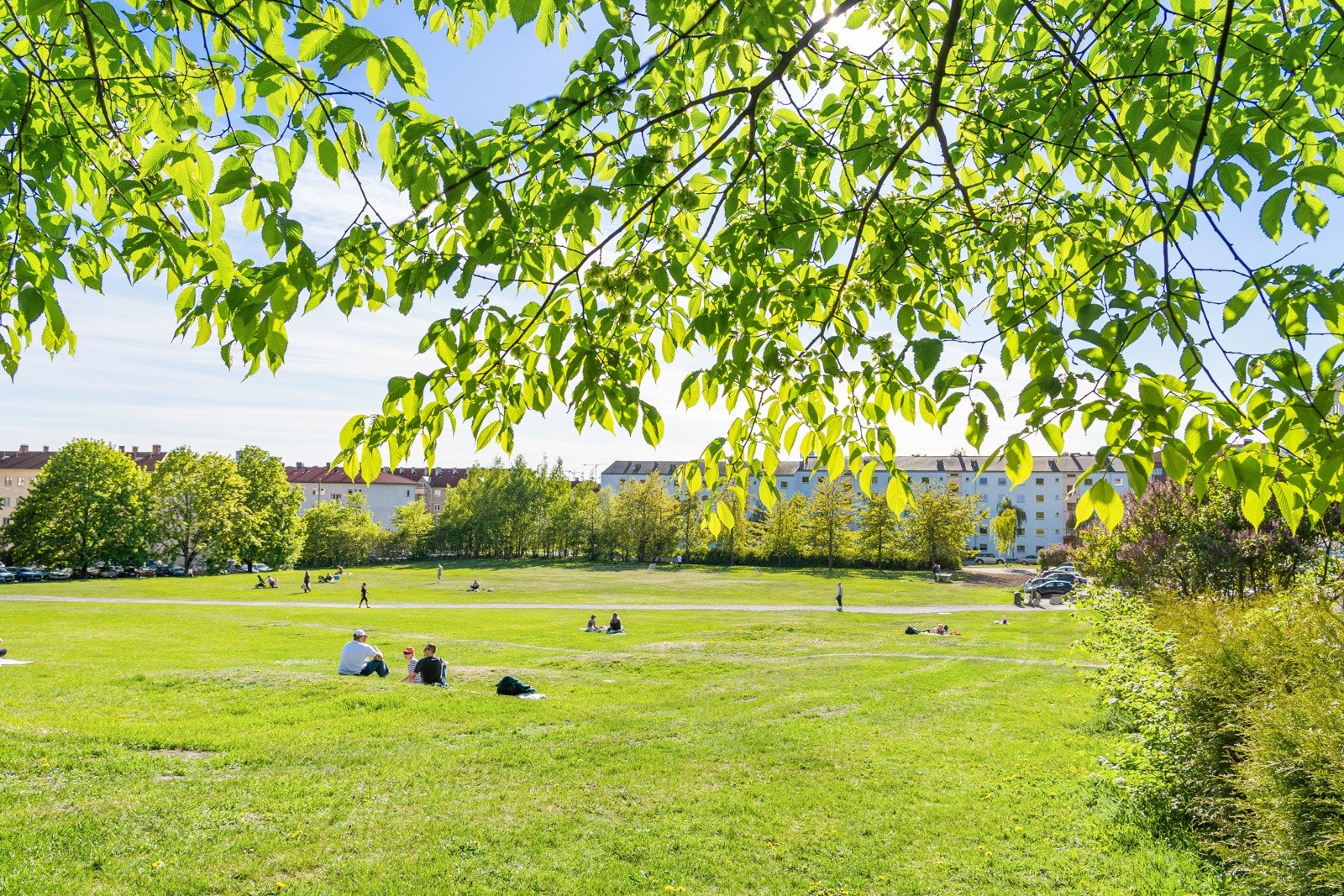 Nærområdet. Galleribilde