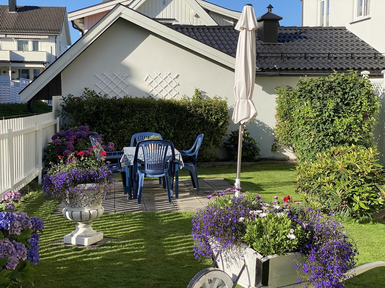 Nydelig felles hage. Galleribilde