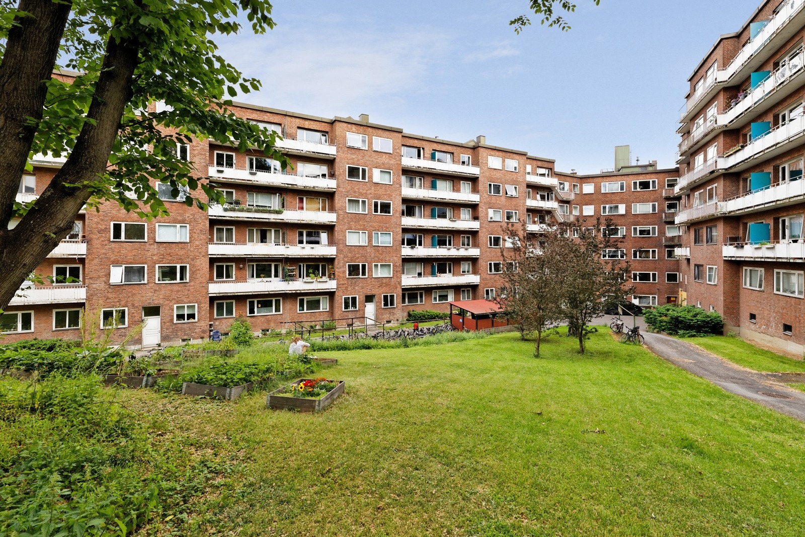 Pent opparbeidet tomt med asfalterte gangveier, gressplen med sittegrupper og utegrill, vannspeil, lekestativ samt diverse busker og beplantinger Galleribilde