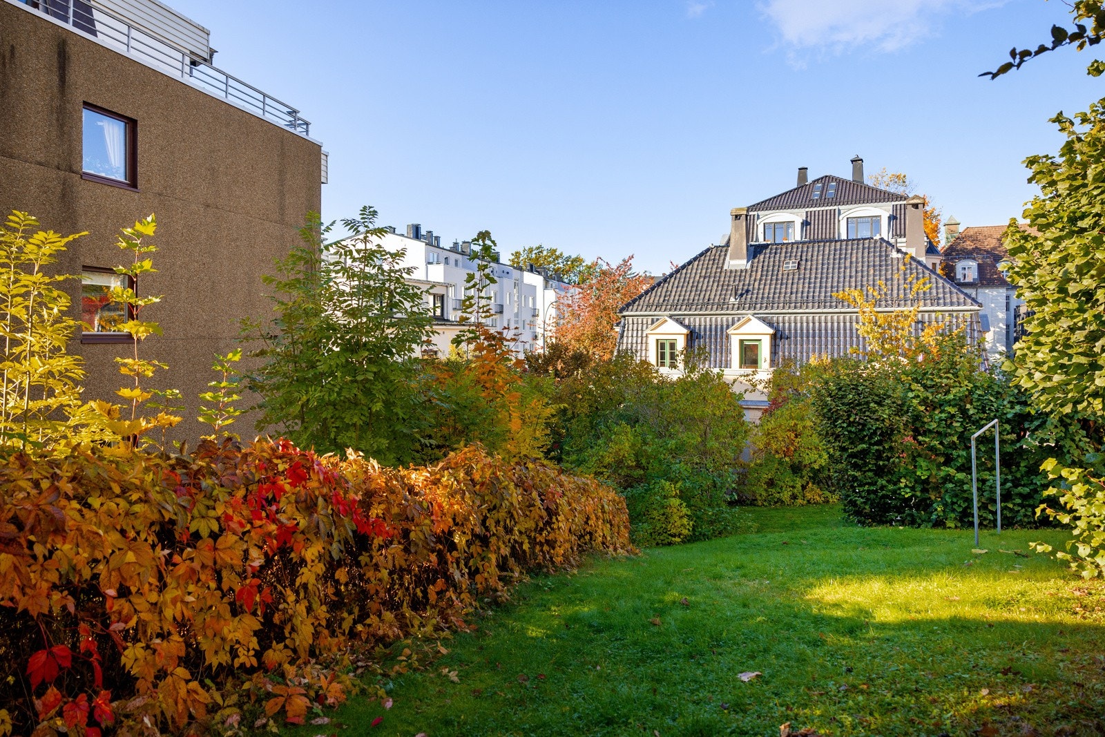 Pent opparbeidet fellesareal med gressplen, heller, prydbusker, hekker, trær og belegningsstein Galleribilde