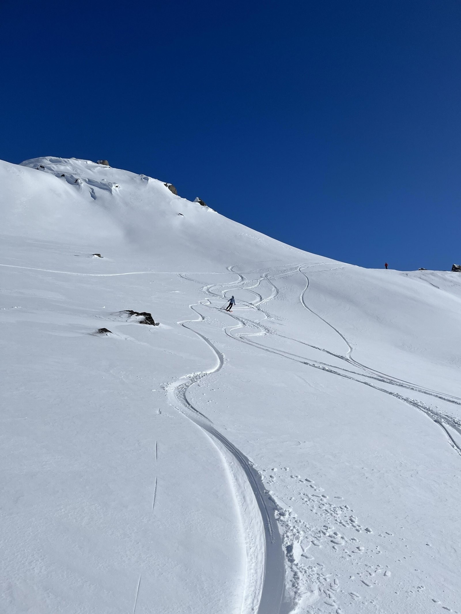 Nærområde. Galleribilde