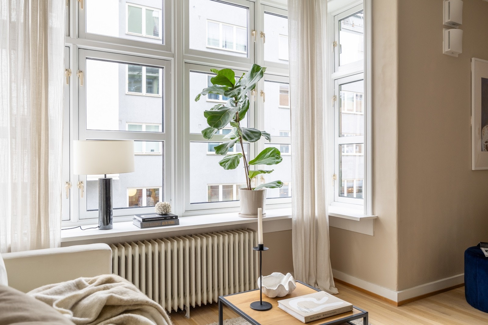 De store vinduene gir rikelig med naturlig lys. Galleribilde