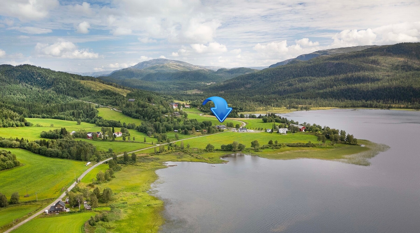 Frodig og flott natur Galleribilde