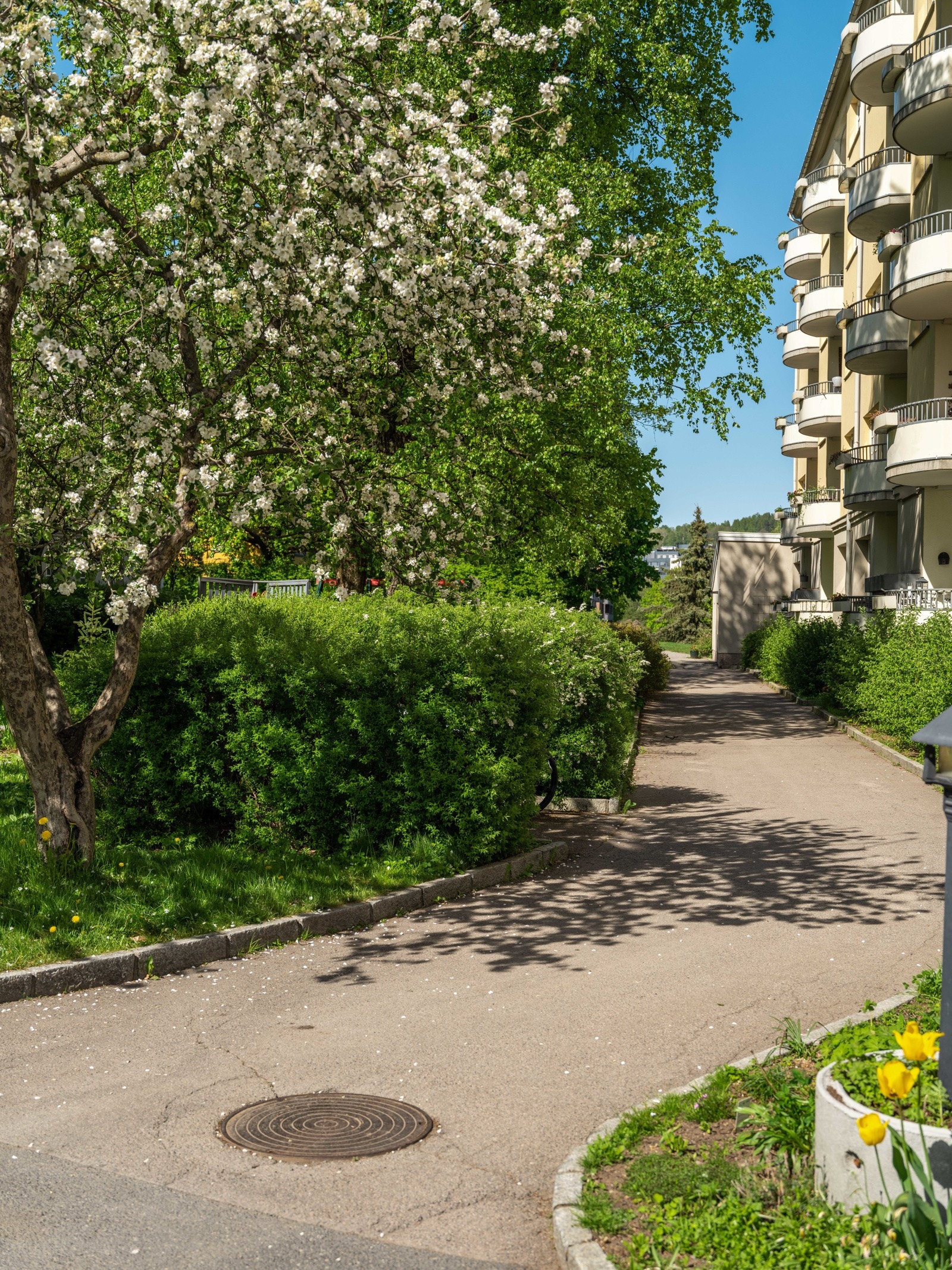 Det er også et fint fellesvaskeri med to store vaskemaskiner, tørketrommel og tørkerom, samt toalett, ved siden av inngangen til 14C. Galleribilde