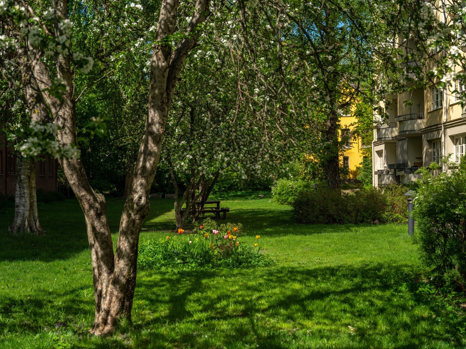 Her kan du blant annet nyte selvplukkede epler, moreller dyrkede jordbær. Galleribilde