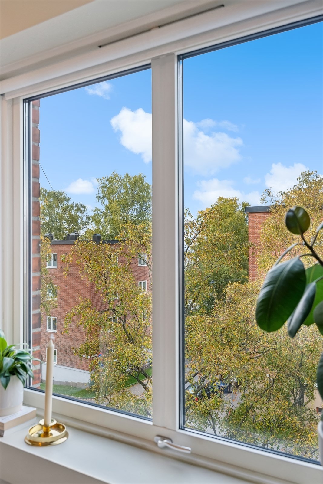 Grønne omgivelser utenfor soverommet. Galleribilde