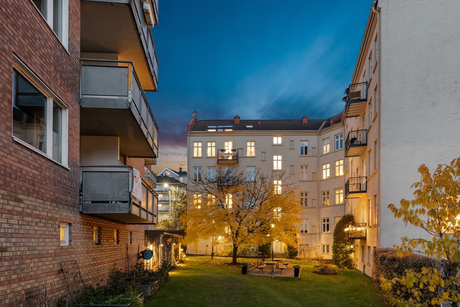 Kveldsstemning. Galleribilde