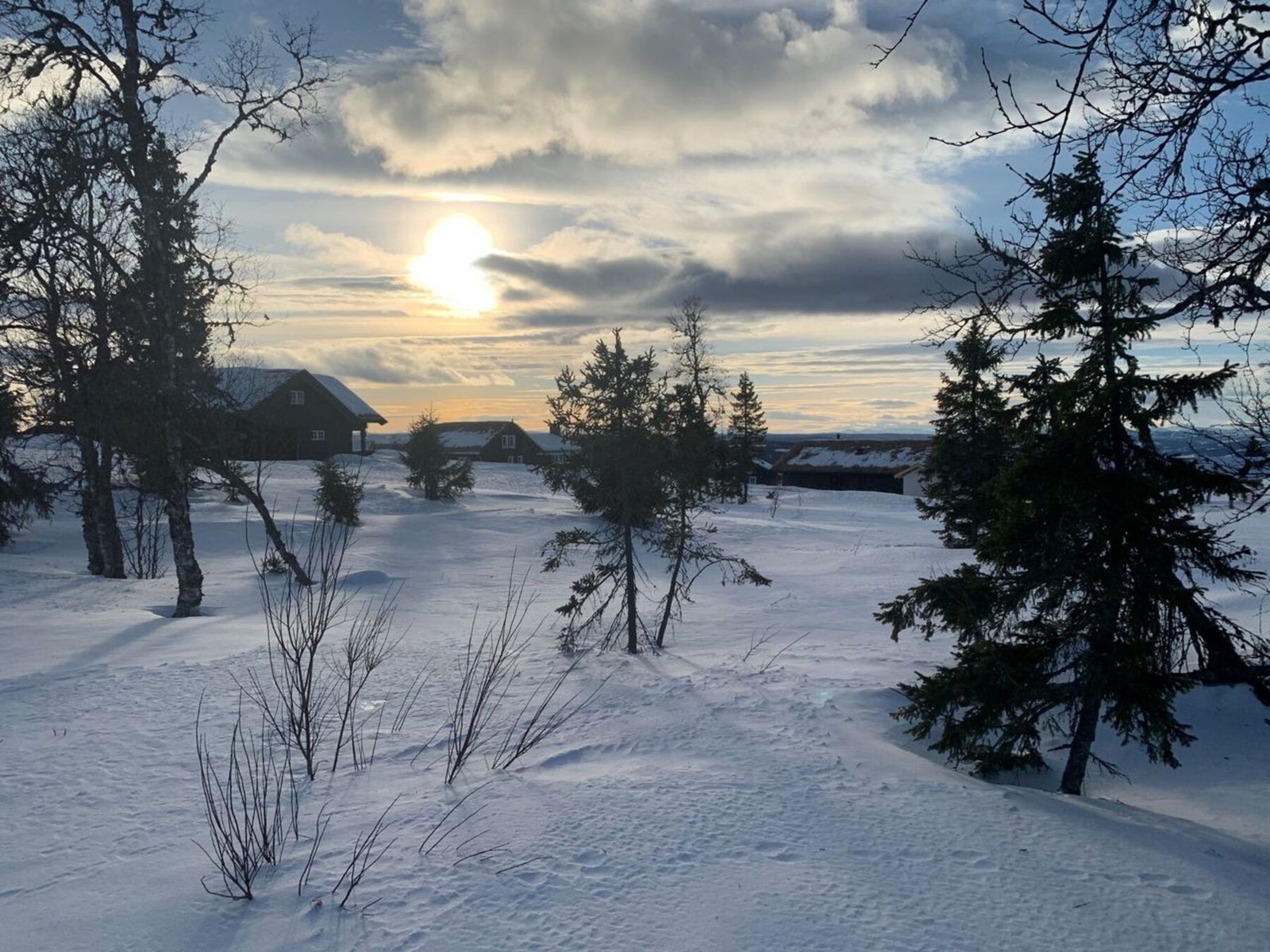 Fra tomteområdet Galleribilde