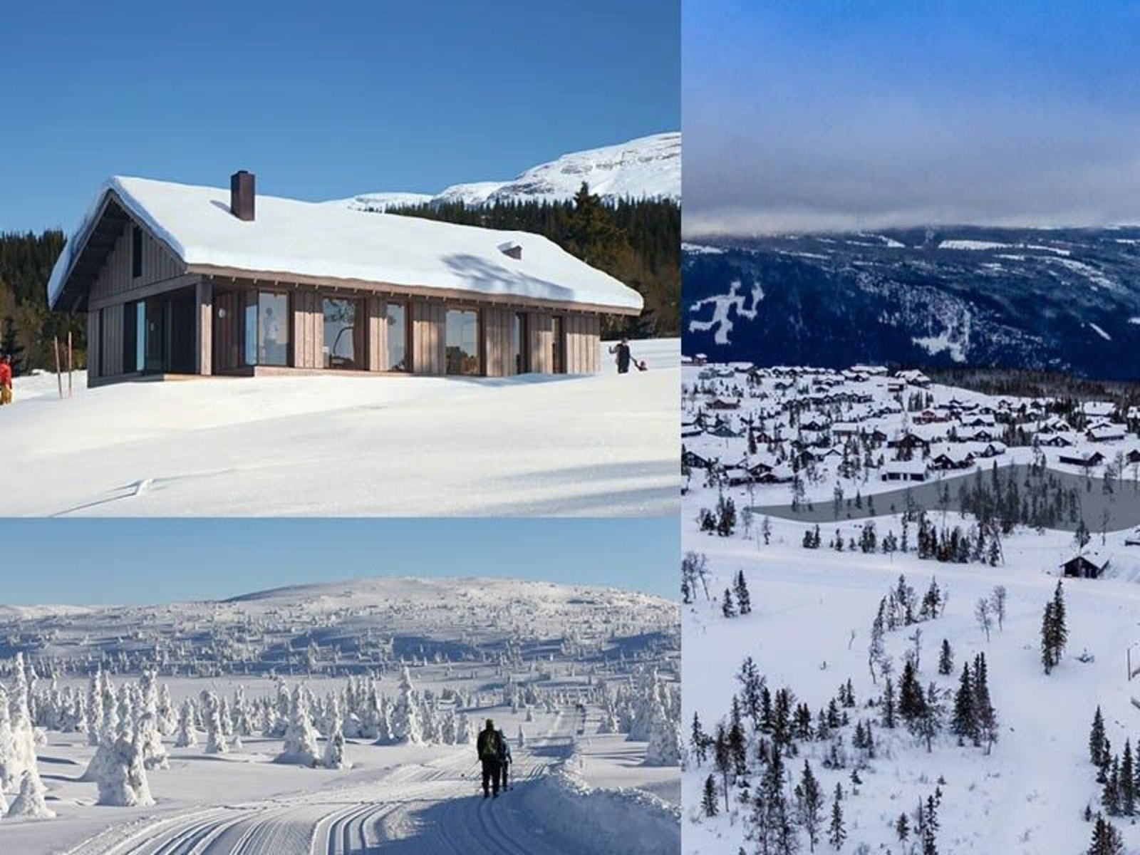 Skiline! Galleribilde