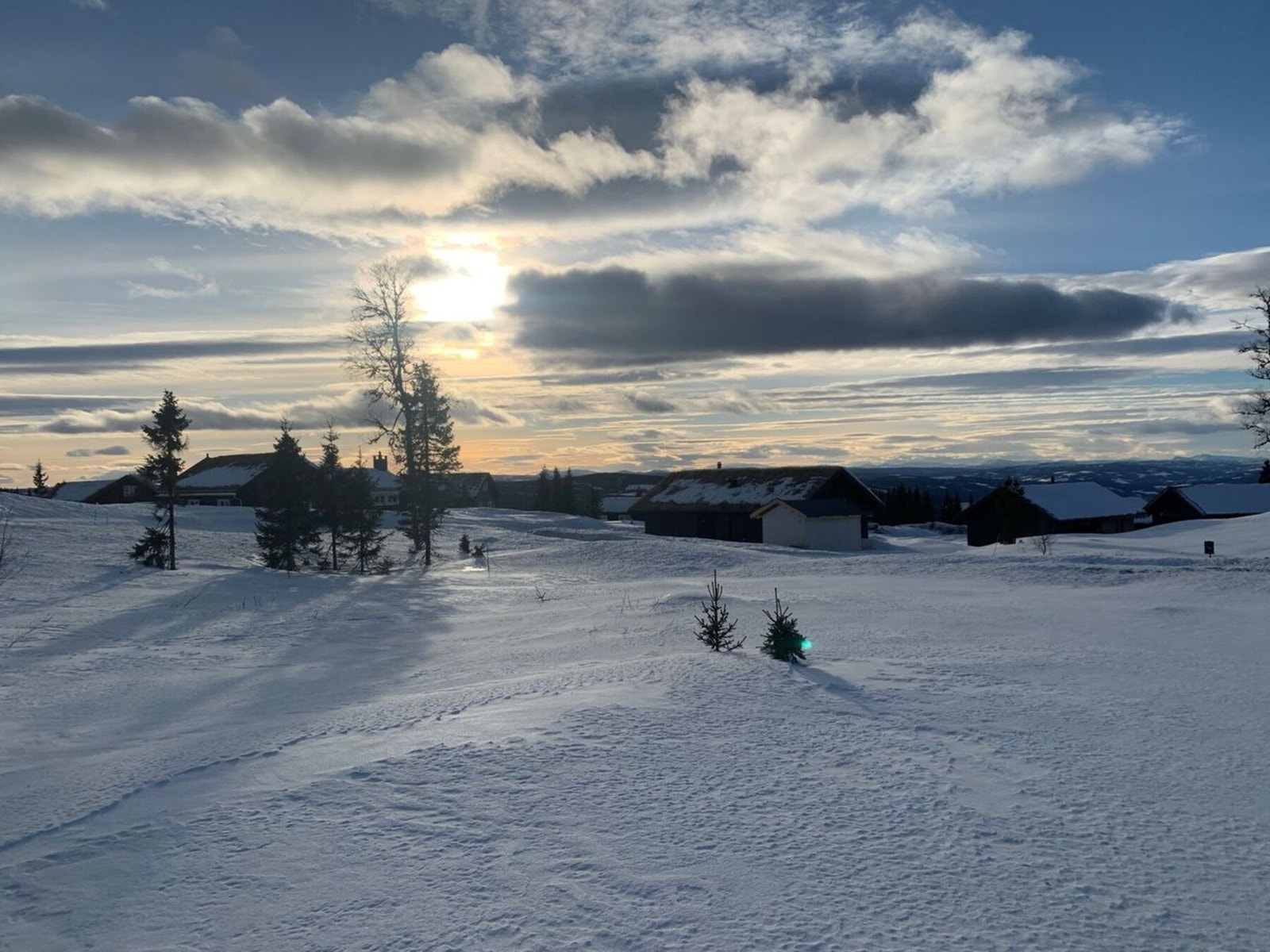 Fra tomt 757 Galleribilde