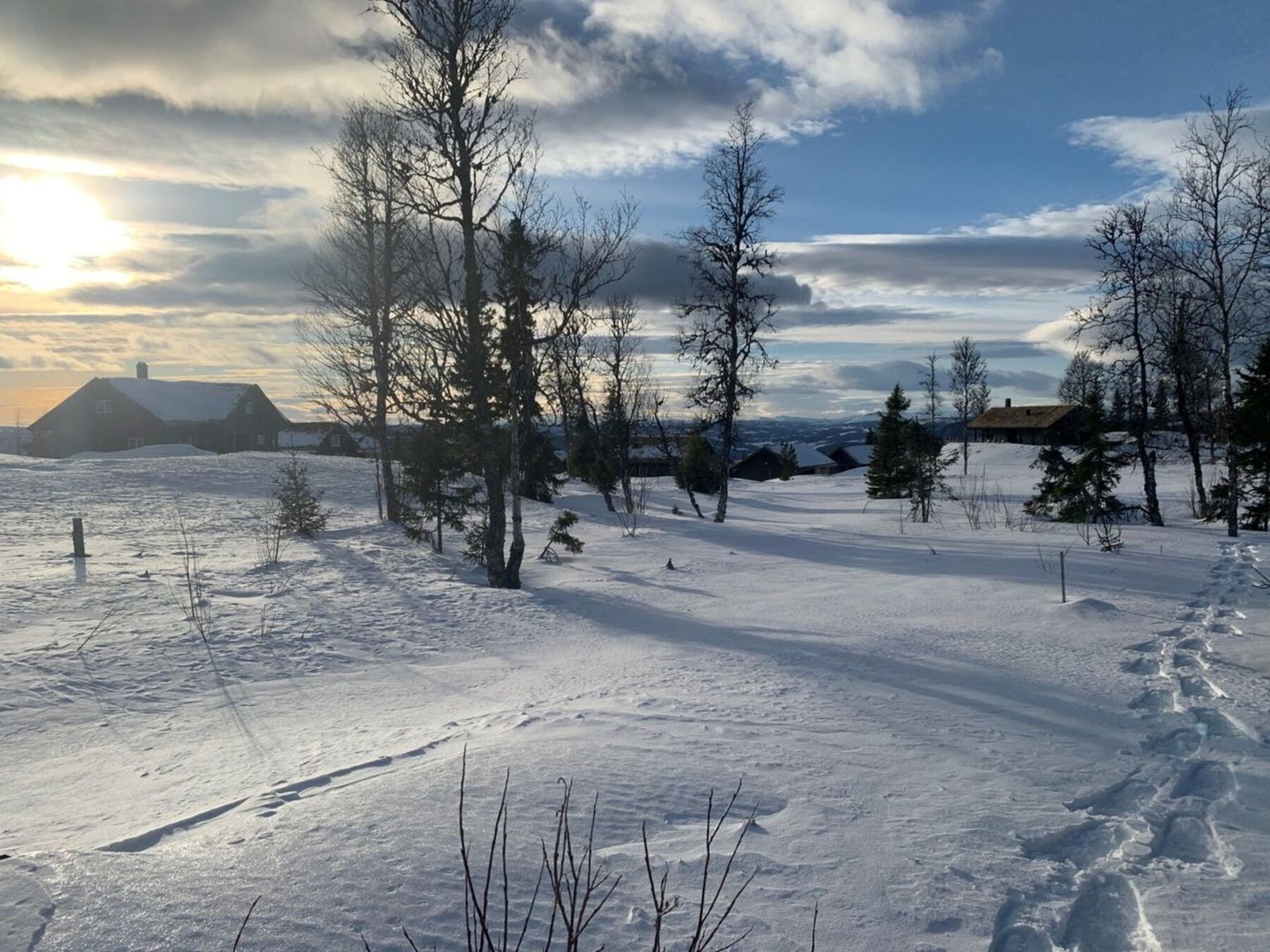 Fra tomt 755 Galleribilde