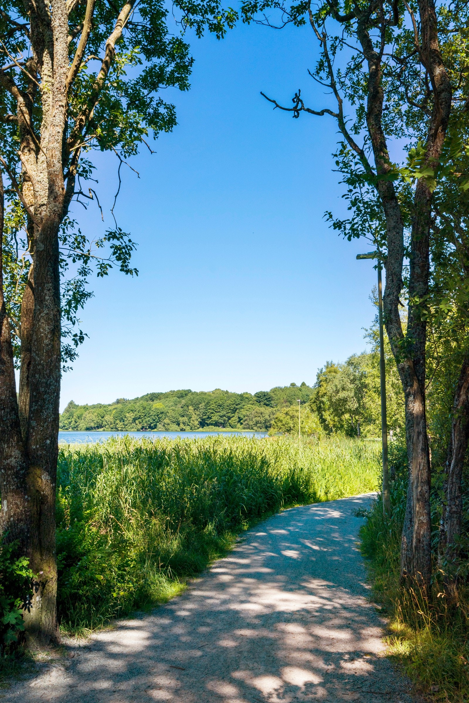 Stokkavannet Galleribilde