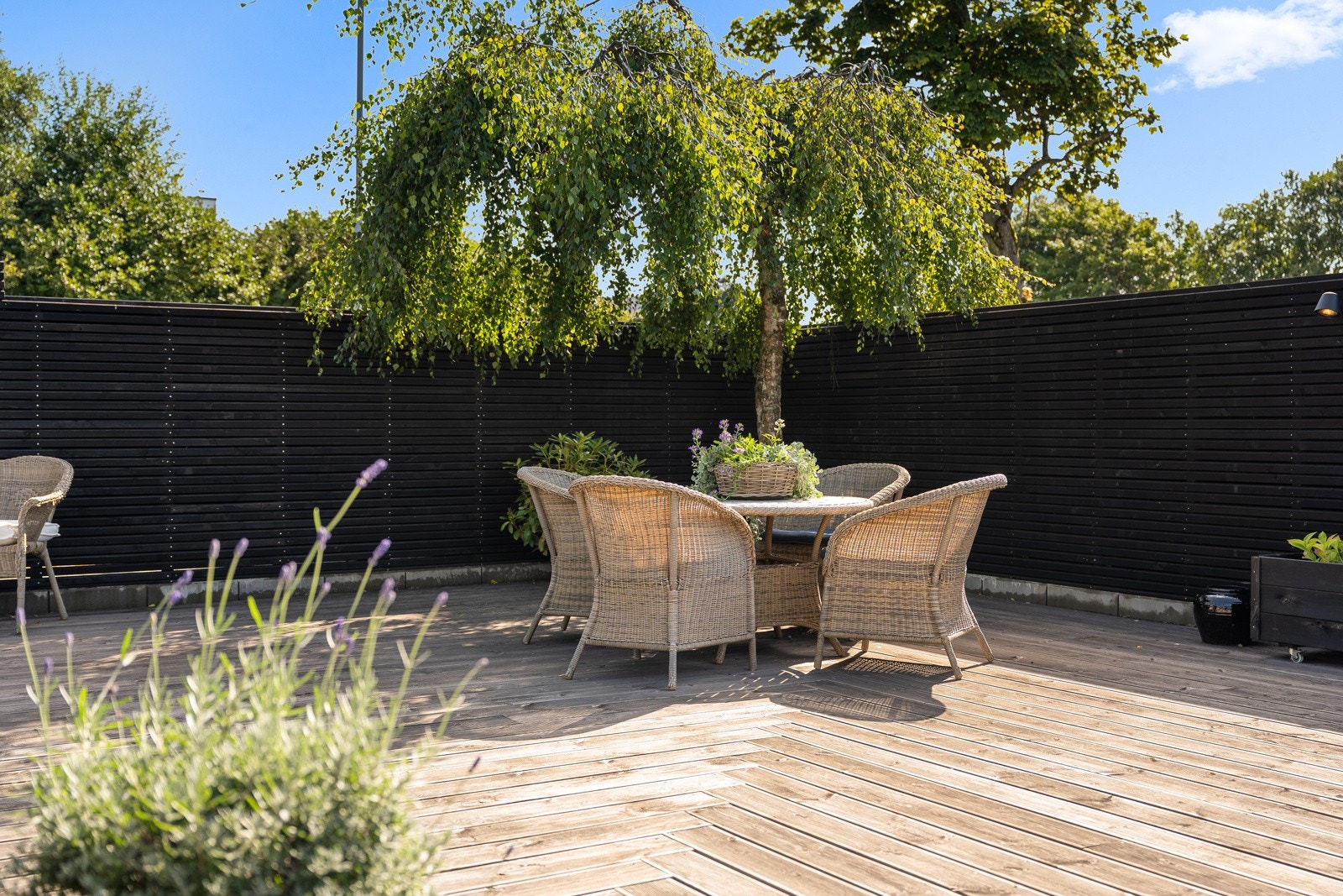 Uteområde Galleribilde