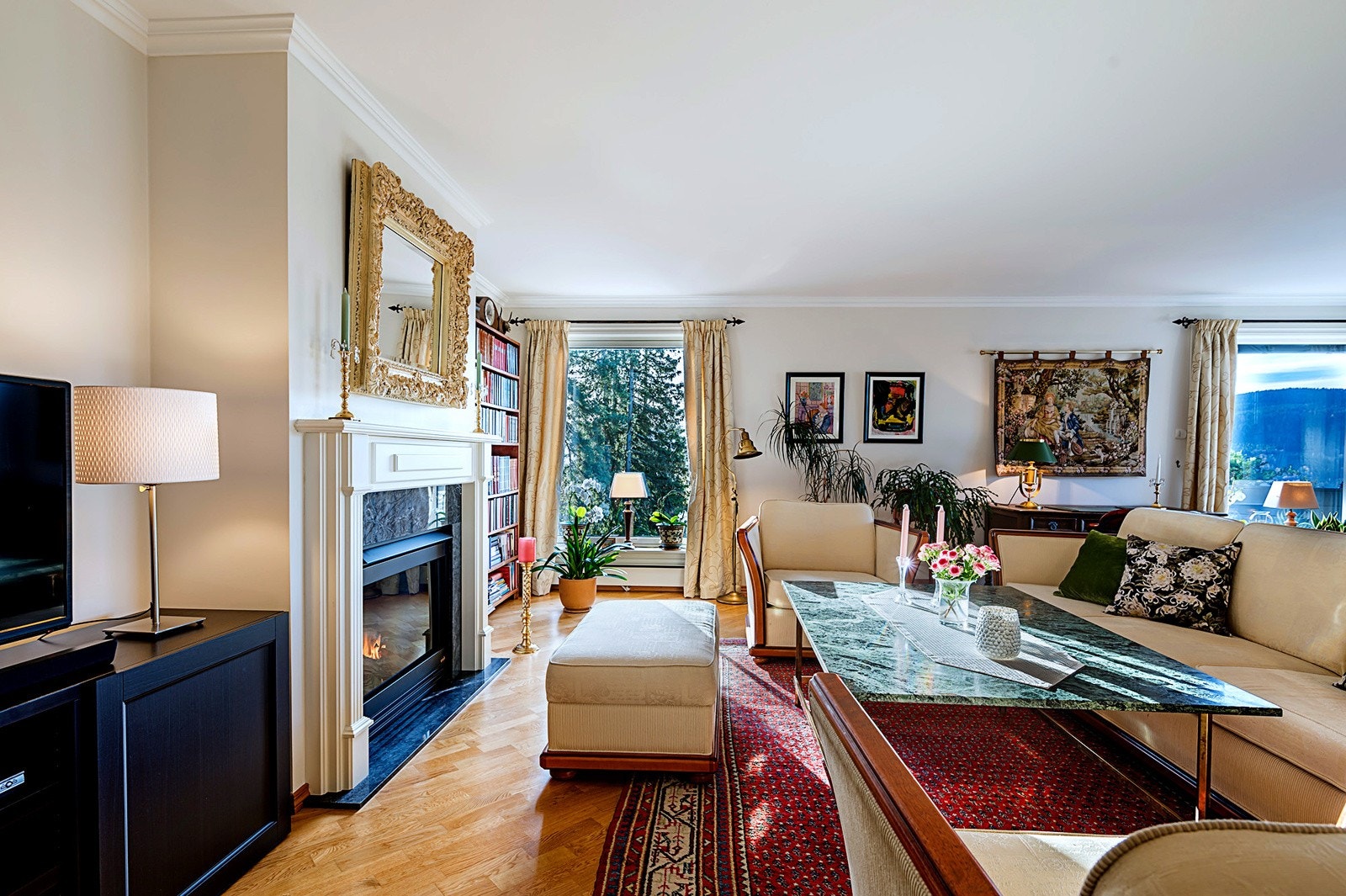 Stuen med gasspeis Galleribilde