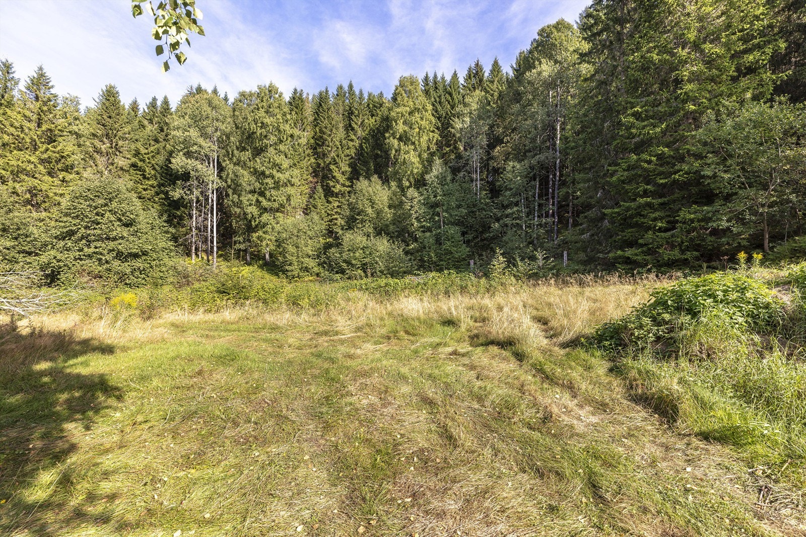 Tyrihjellen 79 - Flate tomter Galleribilde