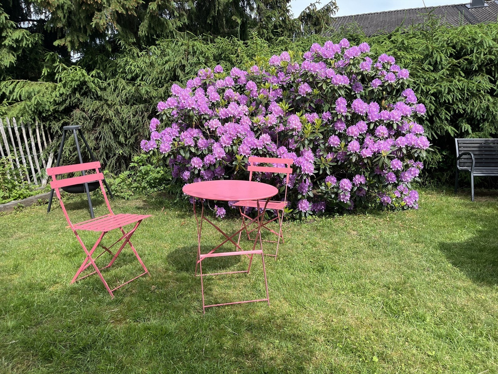 Privat bilde som viser hagen i blomst. Galleribilde