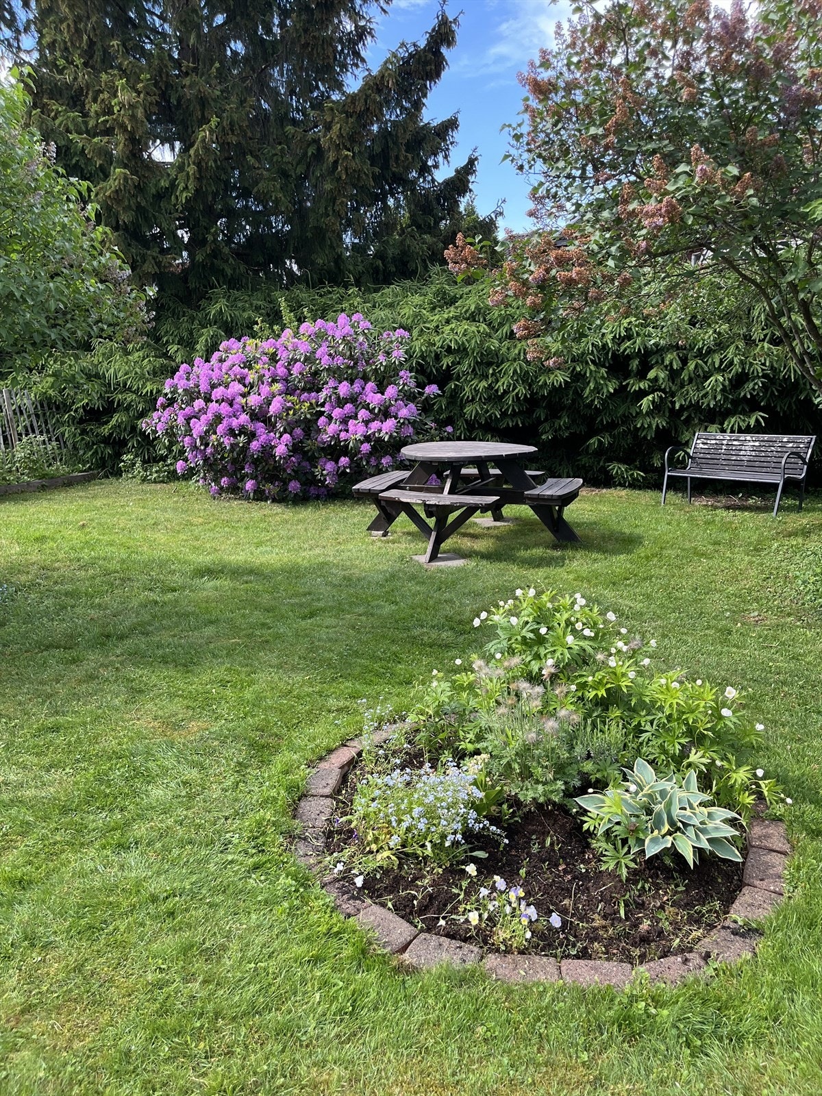 Privat bilde som viser hagen i blomst. Galleribilde